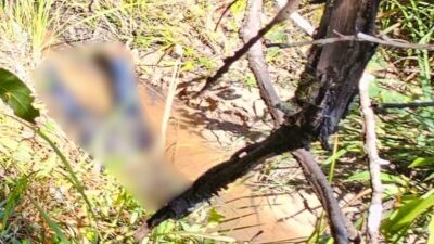 Imagem da notícia Polícia Científica não vê indícios de morte violenta em corpo de Ademilton; caso é investigado
